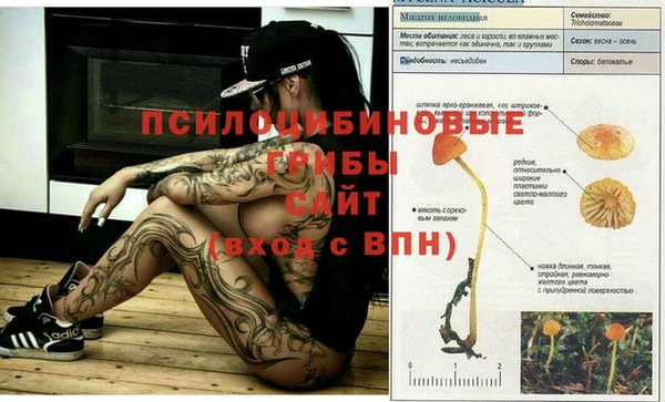 COCAINE Елизово