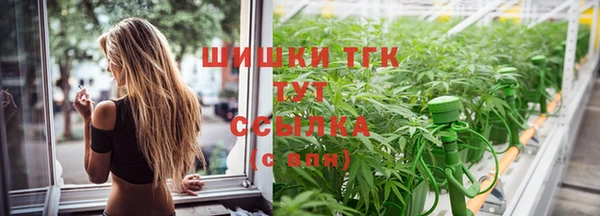 гашик Елабуга