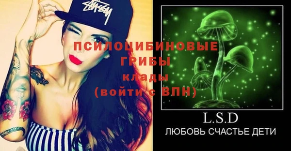 гашик Елабуга