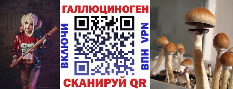 Купить закладки  Зеленогорск  Псилоцибиновые грибы ЛСД 