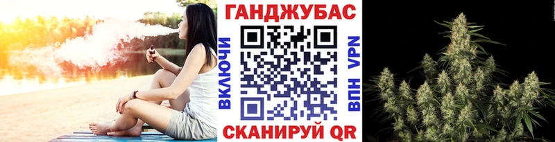 Бошки Шишки THC 21%  Купить закладки  Зеленогорск 